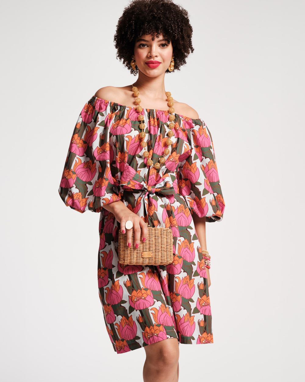 Bliss Mini Dress - Fireflower Dresses Frances Valentine