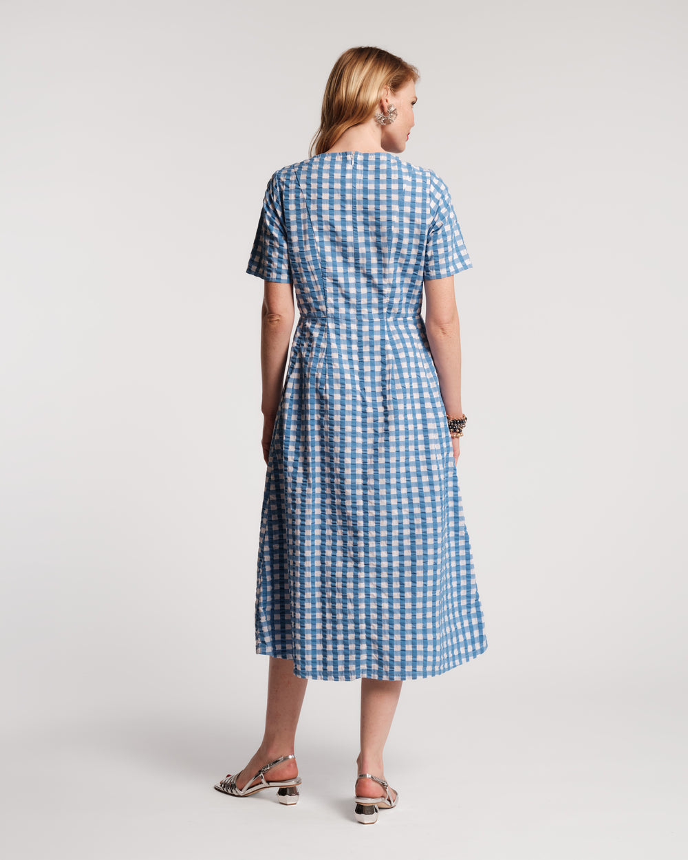 Michelle Gingham Midi Dress - Blue Dresses Frances Valentine